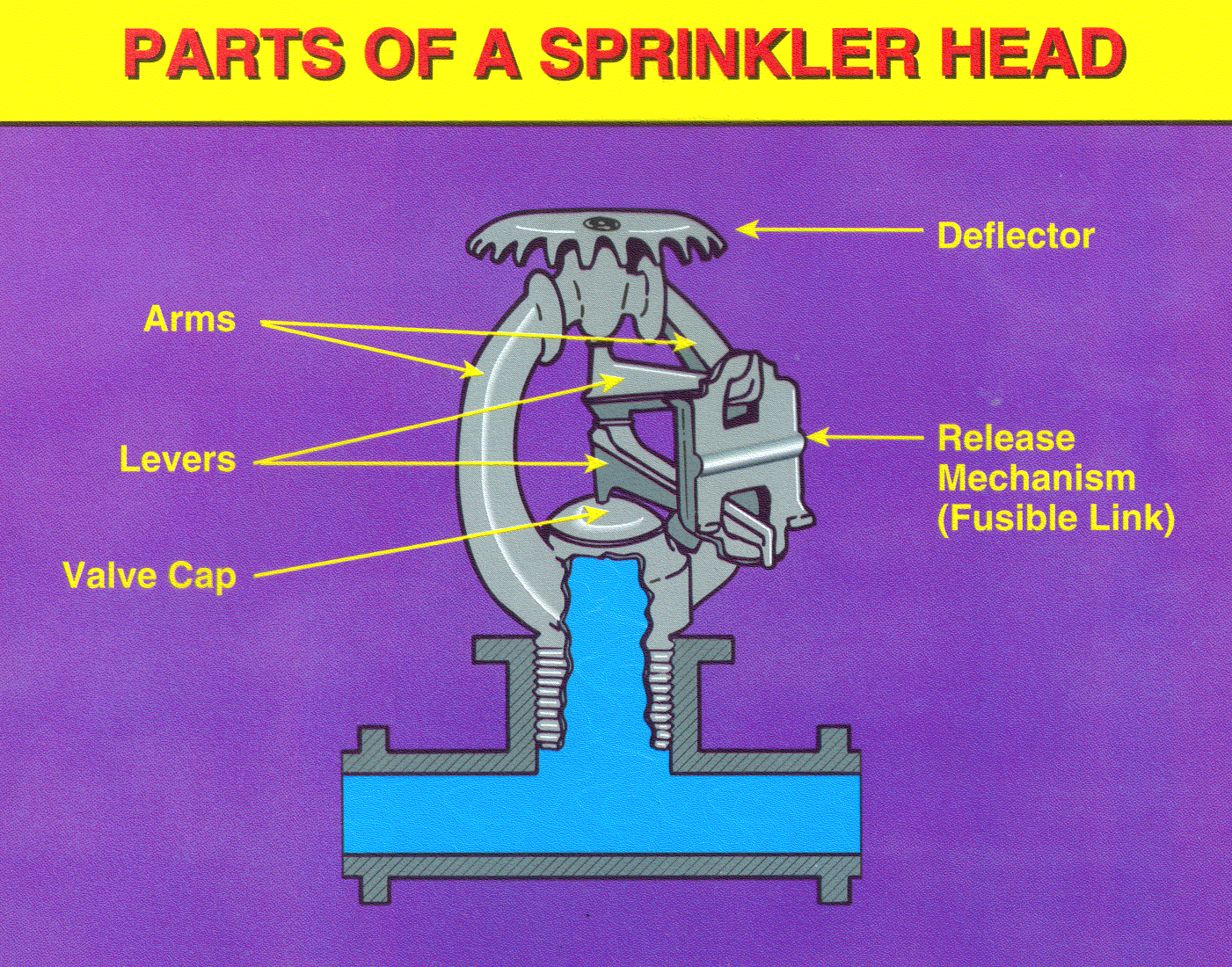 Parts of a Sprinkler Head