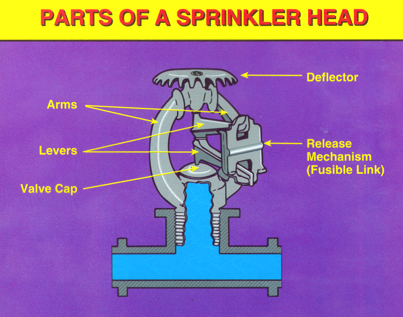 Sprinkler System Parts Diagram