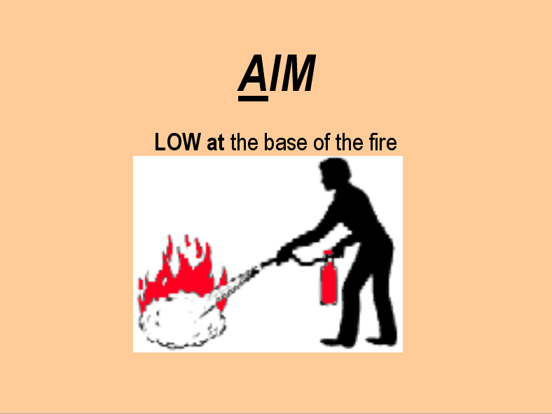 aim meaning in text